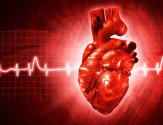 Рубец на сердце: причины возникновения и методы лечения