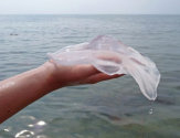 Ожог медузы: первая помощь и дальнейшее лечение